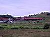 d2-fattoria patca.JPG
